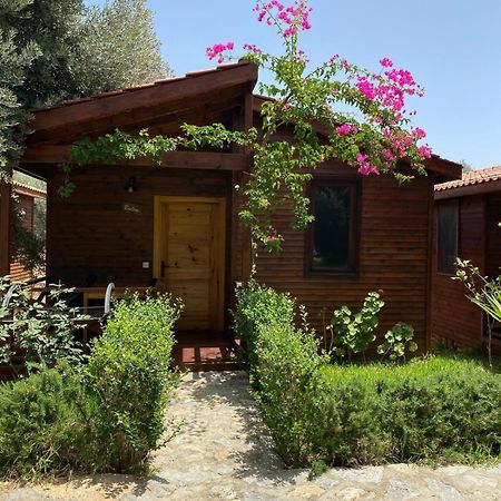 Suzi'Nin Bahcesi Bungalov Evler 닷차 외부 사진