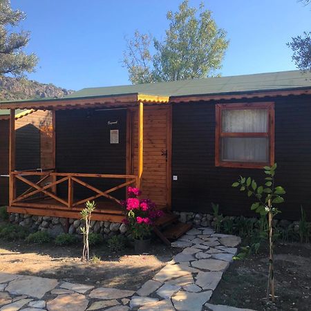 Suzi'Nin Bahcesi Bungalov Evler 닷차 외부 사진